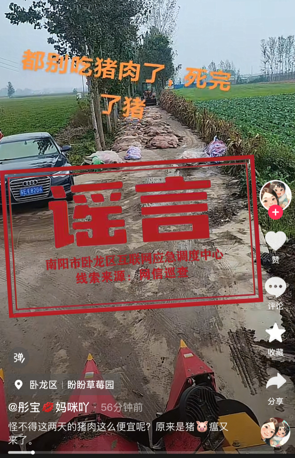 森利网 河南南阳暴发猪瘟？