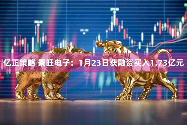 亿正策略 景旺电子：1月23日获融资买入1.73亿元
